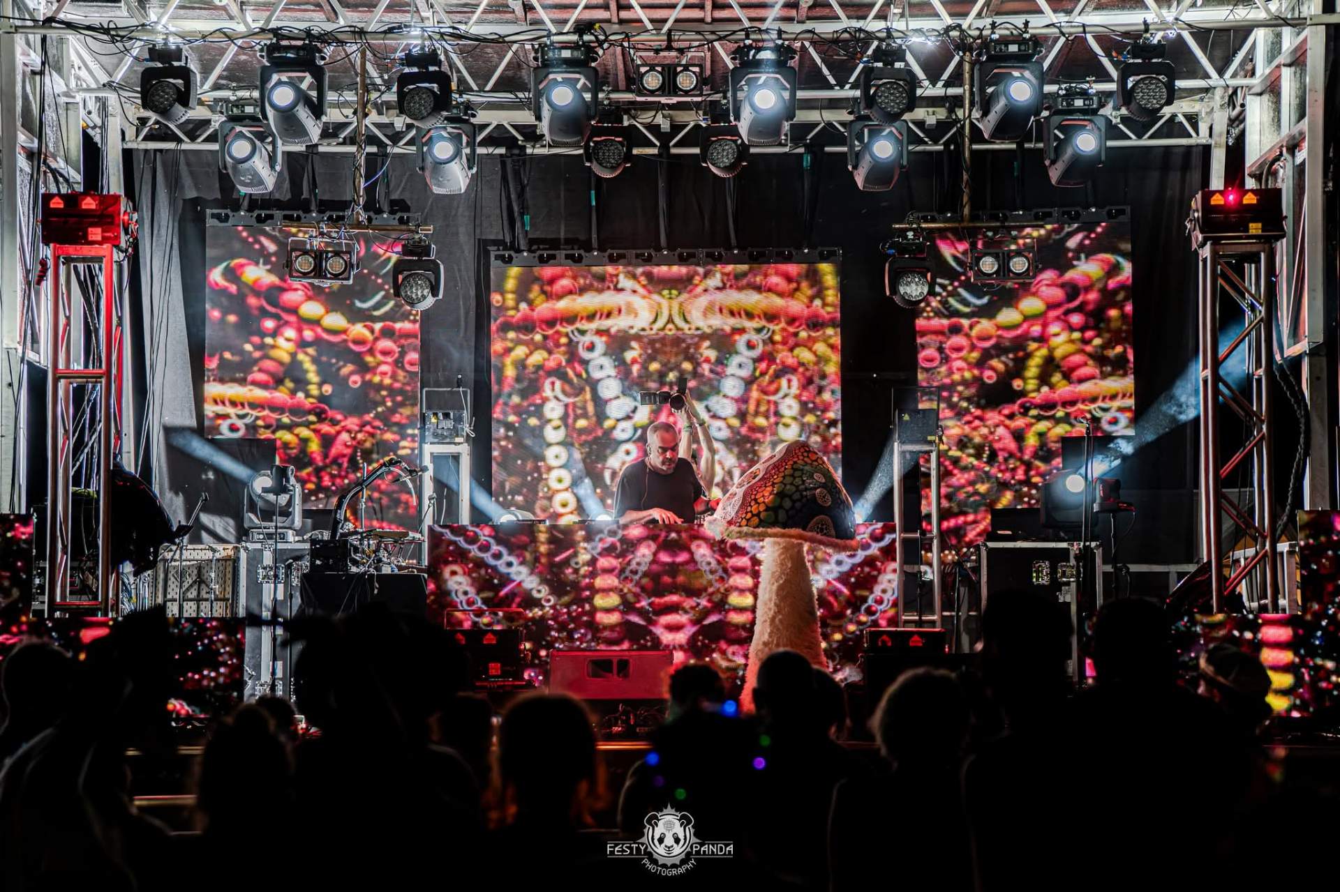 DJ behind a giant mushroom on stage